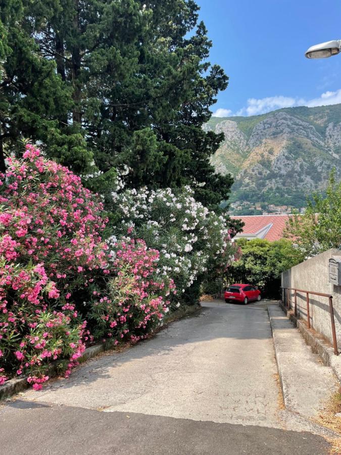 Apartment Garden Kotor Exterior foto